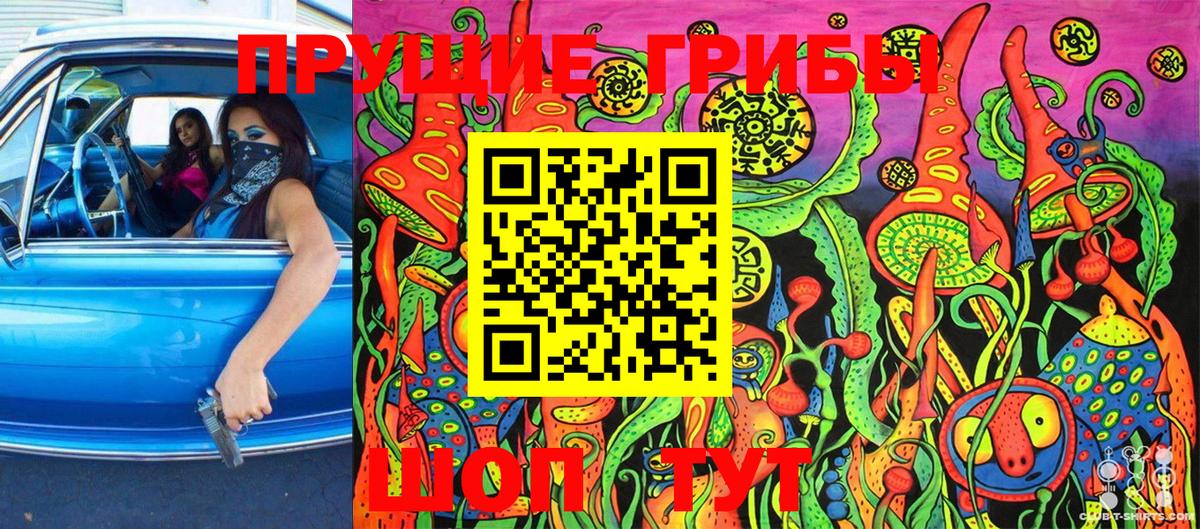 Псилоцибиновые грибы Psilocybine cubensis  Вход с VPN  Воткинск 