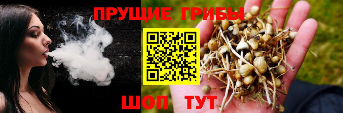 Псилоцибиновые грибы мухоморы Воткинск